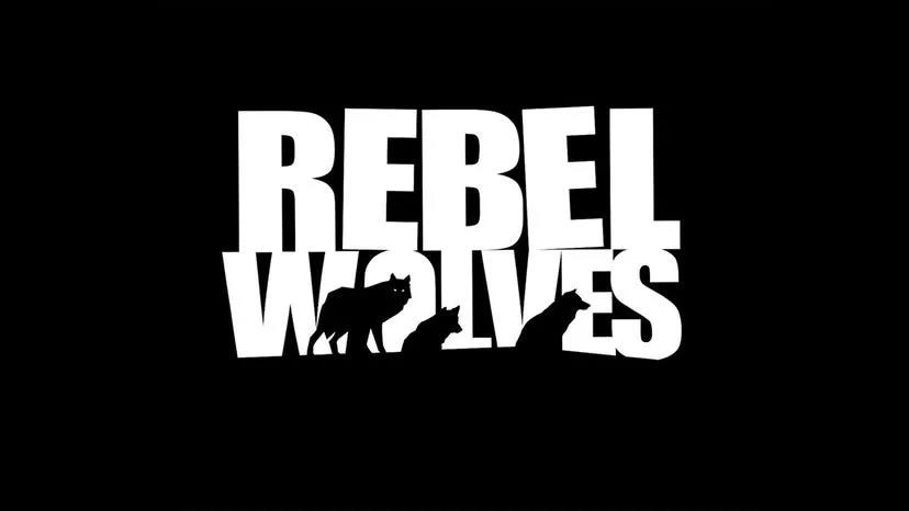 前《巫师3》游戏总监组建新工作室Rebel Wolves