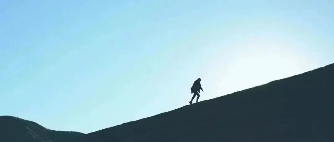 从扭亏为盈到半年爆赚近8亿，这家上海大厂开年又亮了底牌！