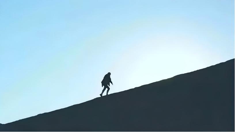 从扭亏为盈到半年爆赚近8亿，这家上海大厂开年又亮了底牌！