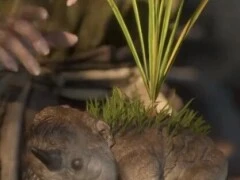 《黑神话：钟馗》首支实机：“吃妖烹鬼”光速破400万播放